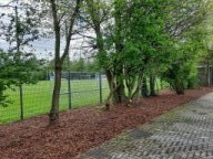 72 Stunden Aktion 2024